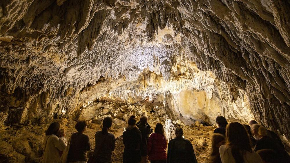 Group contemplating cave formations